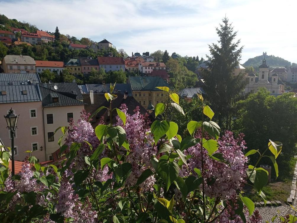 Apartment Melita - The Very Centre Of Town Banska Stiavnica Ngoại thất bức ảnh